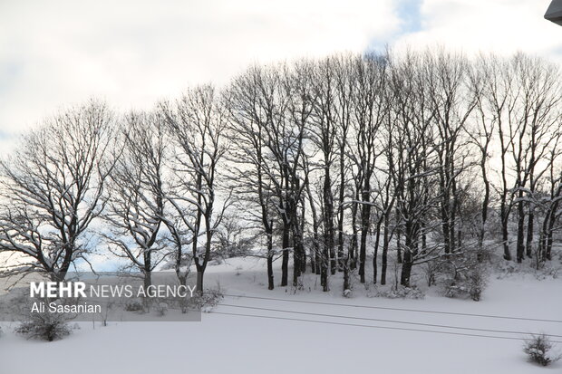 حریر سفید برف بر تن حیران