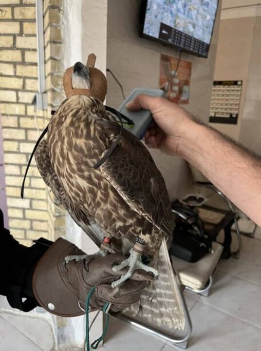 جزئیات و ماجرای سرقت شبانه از کلینیک پردیسان در تهران