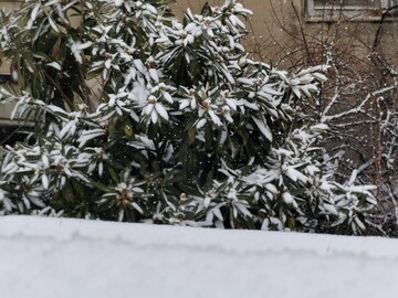 بارش برف و سخاوت آسمان در سنندج