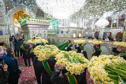 حال و هوای حرم شاهچراغ در شب میلاد حضرت عباس (ع)