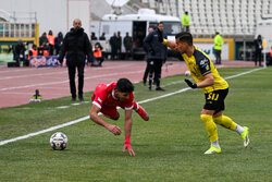 عصبانیت سرپرست پرسپولیس و نارضایتی اوسمار/ یزدی ها هم معترض بودند