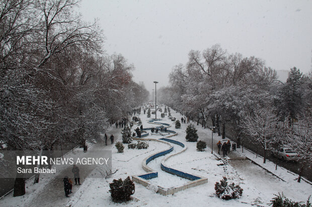 کرمانشاه در قاب برف؛ زمستان شهر را سفیدپوش کرد