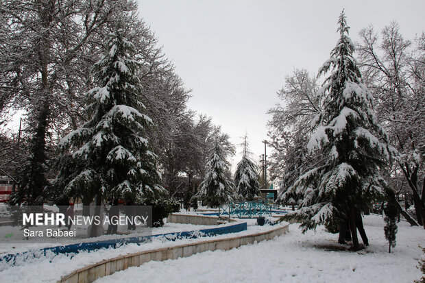 کرمانشاه در قاب برف؛ زمستان شهر را سفیدپوش کرد