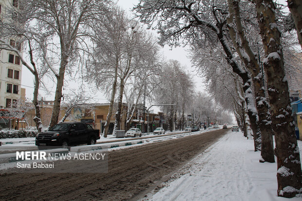 کرمانشاه در قاب برف؛ زمستان شهر را سفیدپوش کرد