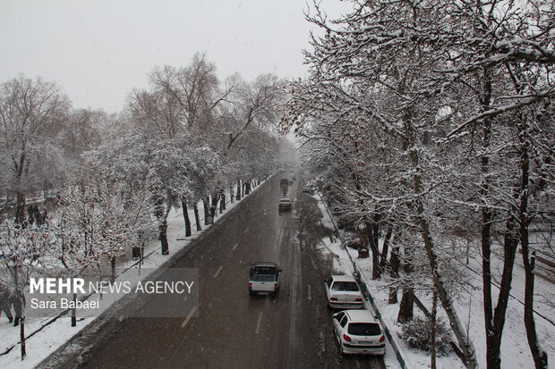 کرمانشاه در قاب برف؛ زمستان شهر را سفیدپوش کرد