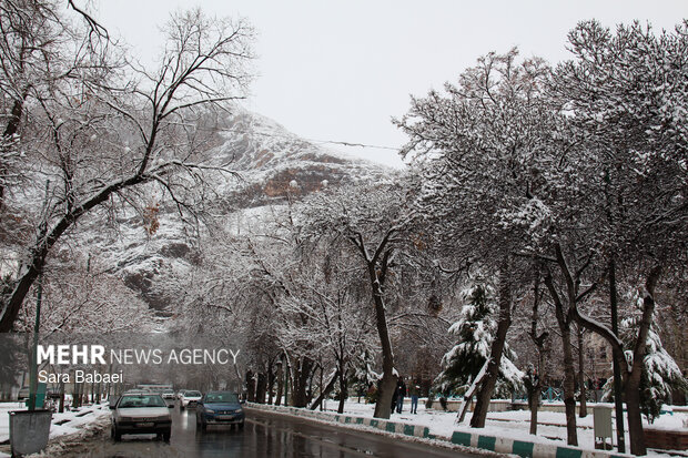 کرمانشاه در قاب برف؛ زمستان شهر را سفیدپوش کرد