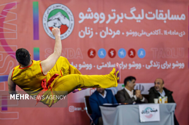 زمان برگزاری رقابت‌های انتخابی تیم‌های ملی ووشو ایران مشخص شد
