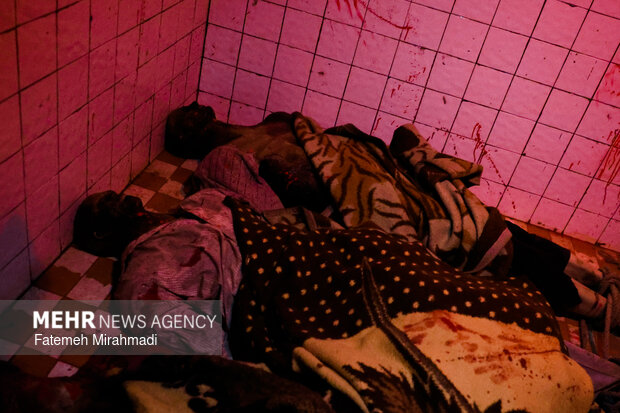 افتتاح موزه اسرار سازمان