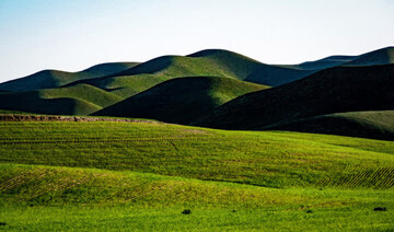 جلوگیری از دست اندازی سودجویان به یکی از بکرترین مراتع گلستان