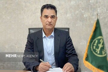 خلق أكثر من 3000 فرصة عمل في القطاع الزراعي في محافظة سيستان وبلوشستان