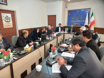 طرح‌های خلاقانه روستایی کرمانشاه قابلیت توسعه ملی دارند