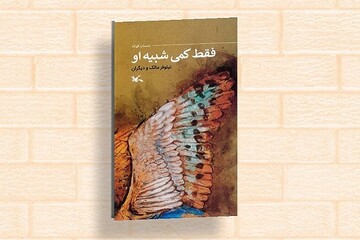 کتاب «فقط کمی شبیه او» منتشر شد