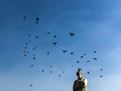 لحظه‌های گم شده