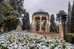 بارش برف در شیراز