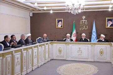 قضات برای رسیدگی به پرونده اغتشاشگران موضعی فعالانه دارند