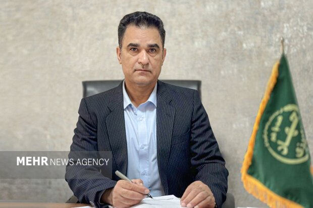 خلق أكثر من 3000 فرصة عمل في القطاع الزراعي في محافظة سيستان وبلوشستان