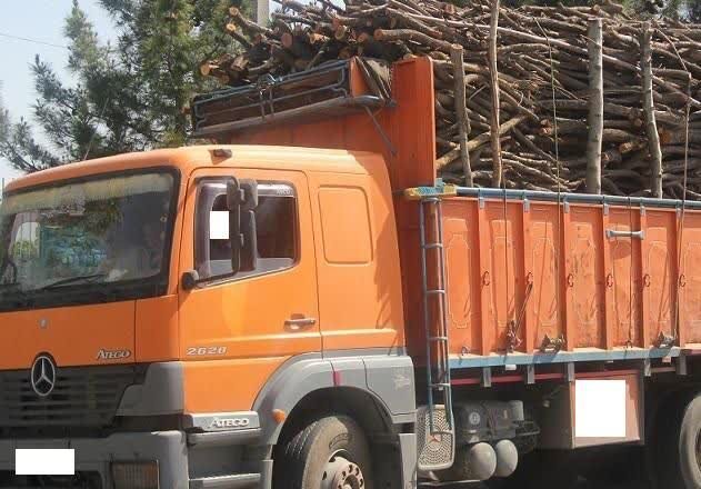 کشف ۲۰ تن چوب فاقد مجوز در جوانرود کشف ۲۰ تن چوب فاقد مجوز در جوانرود