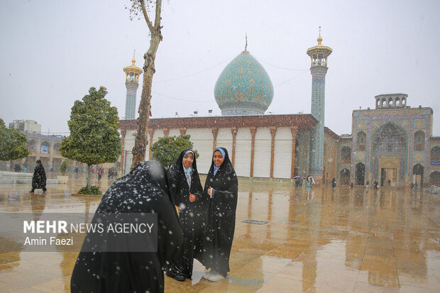 بارش برف شیراز