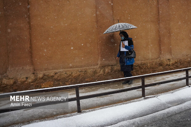 بارش برف شیراز