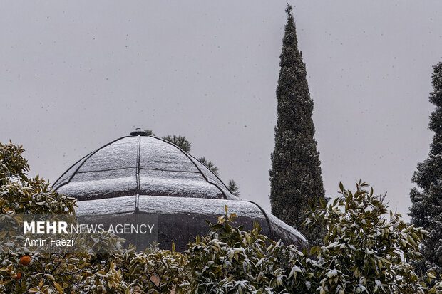 بارش برف شیراز