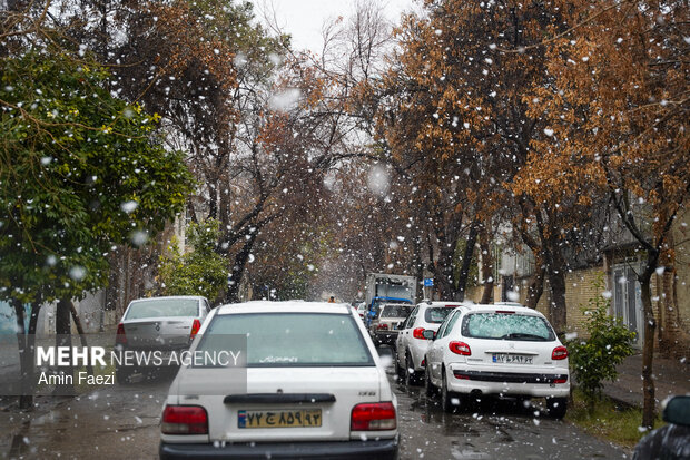 بارش برف شیراز