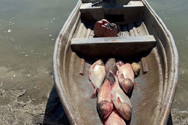 صید ماهی از منابع آبی و سدهای شهرستان مهرستان صید ماهی از منابع آبی و سدهای شهرستان مهرستان