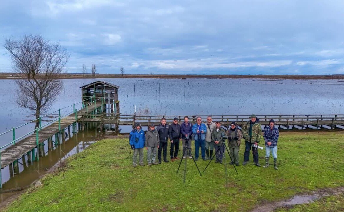 آغاز سرشماری پرندگان مهاجر با استفاده از فن آوری های نوین در گیلان