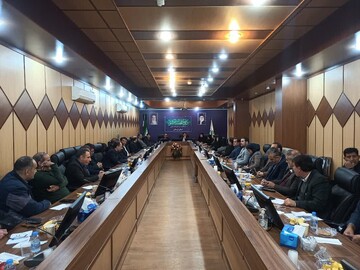 حذف ارز ترجیحی به رفع رانت ارزی کمک می‌کند