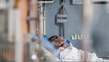 نحو 3000 مصاب في الحوادث الأخيرة راجعوا المستشفيات الأسبوع الماضي