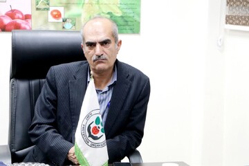 تعیین تکلیف بذور مانده گندم ۱۴۰۴ در لرستان