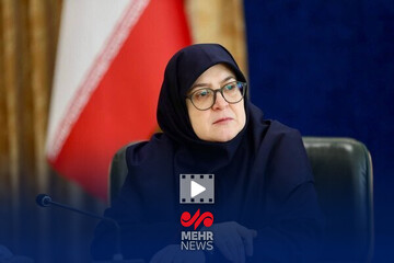 مهاجرانی: دولت خود را برای همه آسیب‌دیدگان حوادث اخیر مسئول می‌داند