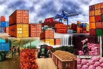 تصدير 680 ألف طن من المنتجات الزراعية من هرمزكان إلى الأسواق العالمية