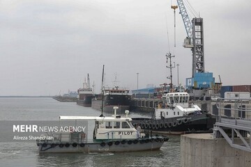 Iran’s trade with Oman, Qatar, UAE rises: TPOI