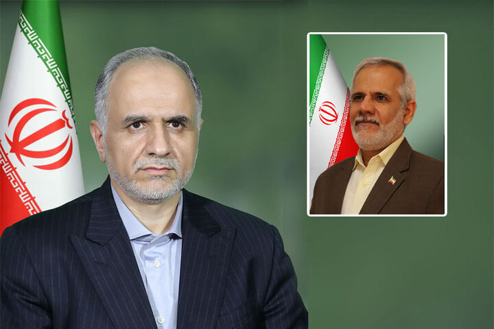 دبیر مرجع ملی کنوانسیون حقوق کودک منصوب شد