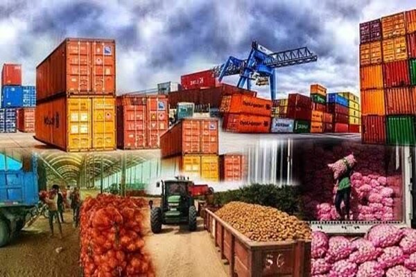 تصدير 680 ألف طن من المنتجات الزراعية من هرمزكان إلى الأسواق العالمية