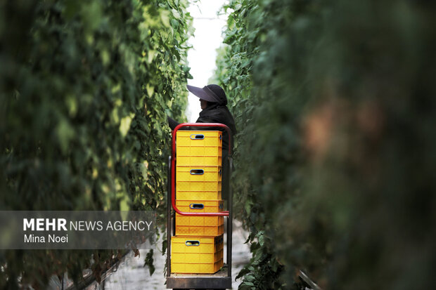 بازدید اصحاب رسانه از پروژه‌های کشاورزی و نیروگاهی در آذرشهر و بناب