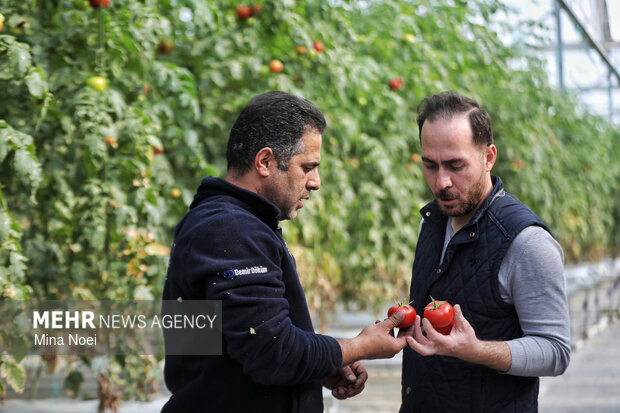 بازدید اصحاب رسانه از پروژه‌های کشاورزی و نیروگاهی در آذرشهر و بناب