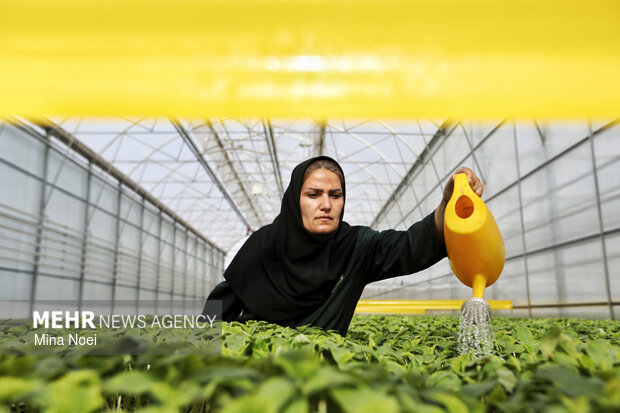 بازدید اصحاب رسانه از پروژه‌های کشاورزی و نیروگاهی در آذرشهر و بناب