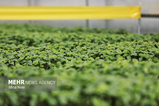 بازدید اصحاب رسانه از پروژه‌های کشاورزی و نیروگاهی در آذرشهر و بناب