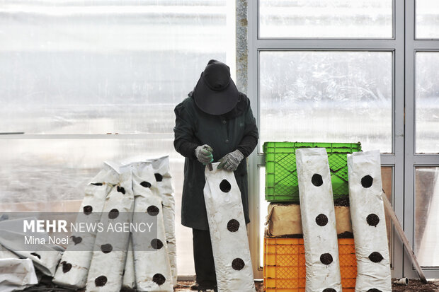 بازدید اصحاب رسانه از پروژه‌های کشاورزی و نیروگاهی در آذرشهر و بناب