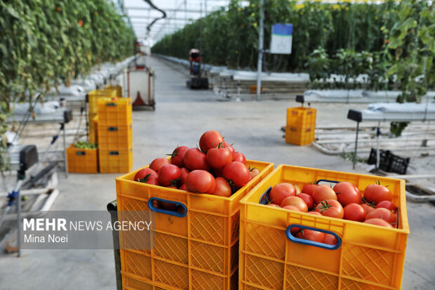 بازدید اصحاب رسانه از پروژه‌های کشاورزی و نیروگاهی در آذرشهر و بناب