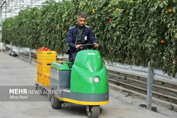 بازدید اصحاب رسانه از پروژه‌های کشاورزی و نیروگاهی در آذرشهر و بناب