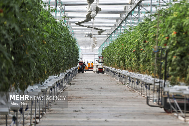 بازدید اصحاب رسانه از پروژه‌های کشاورزی و نیروگاهی در آذرشهر و بناب