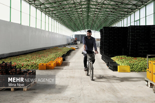 بازدید اصحاب رسانه از پروژه‌های کشاورزی و نیروگاهی در آذرشهر و بناب