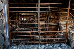 VIDEO: Armed attack on police station in Azna