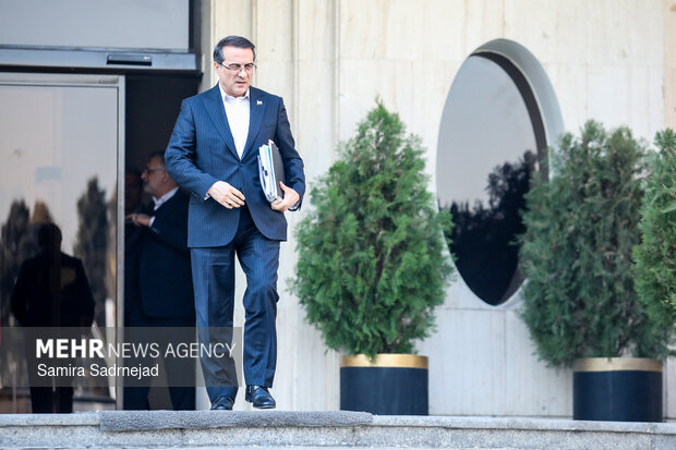 علاءالدین رفیع‌زاده معاون رئیس جمهور و رئیس سازمان امور اداری و استخدامی کشور در حاشیه جلسه هیئت دولت