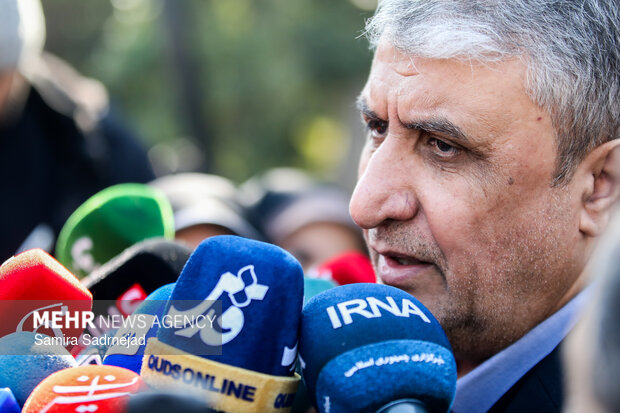 محمد اسلامی معاون رئیس‌جمهور و رئیس سازمان انرژی اتمی در حاشیه جلسه هیئت دولت