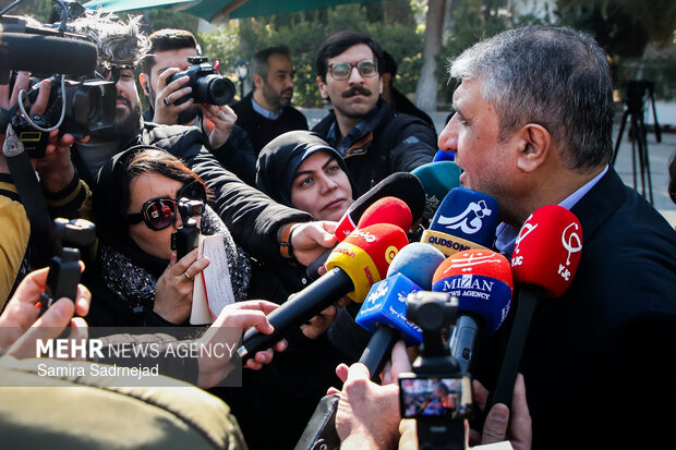 محمد اسلامی معاون رئیس‌جمهور و رئیس سازمان انرژی اتمی در حاشیه جلسه هیئت دولت