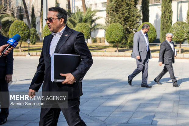 حاشیه جلسه هیئت دولت