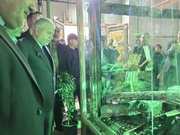 صالحی‌امیری: هتک حرمت حرم سبزقبا چهره واقعی دشمنان ایران را آشکار کرد